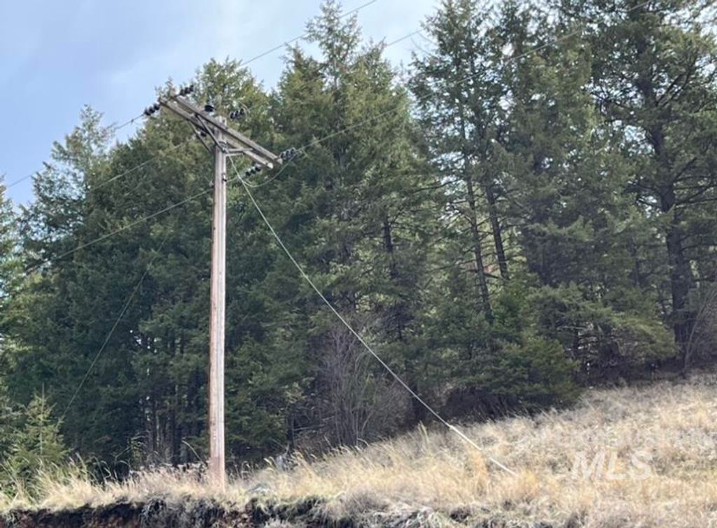 TBD State Highway 129, Anatone, WA 99401 photo 2