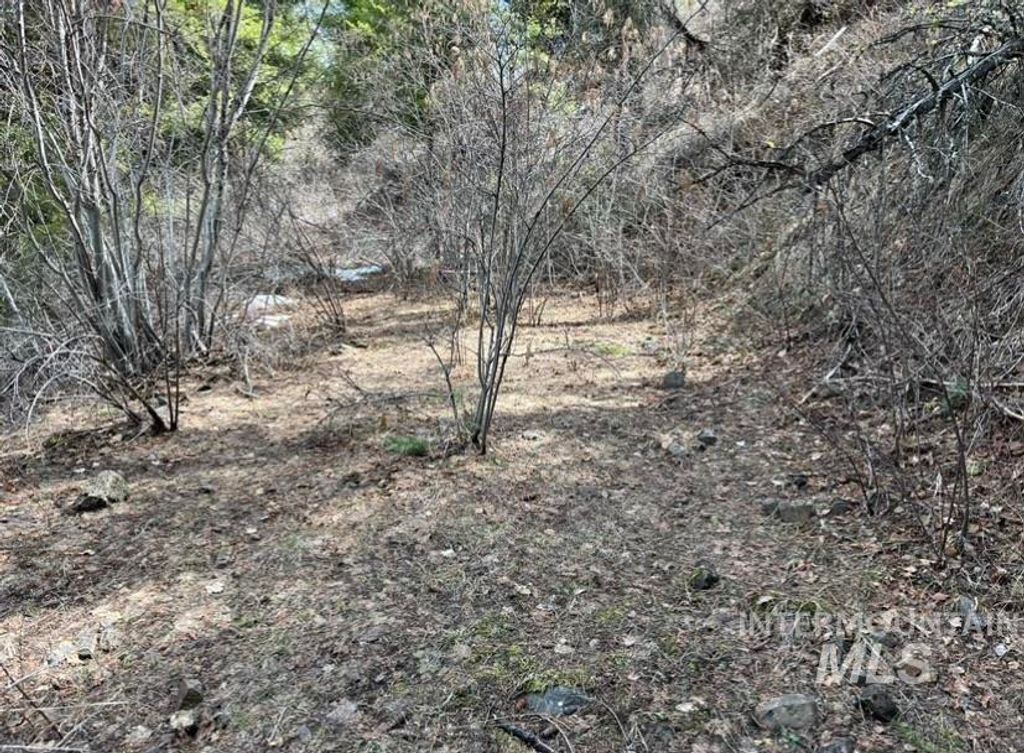 TBD State Highway 129, Anatone, WA 99401 photo 4