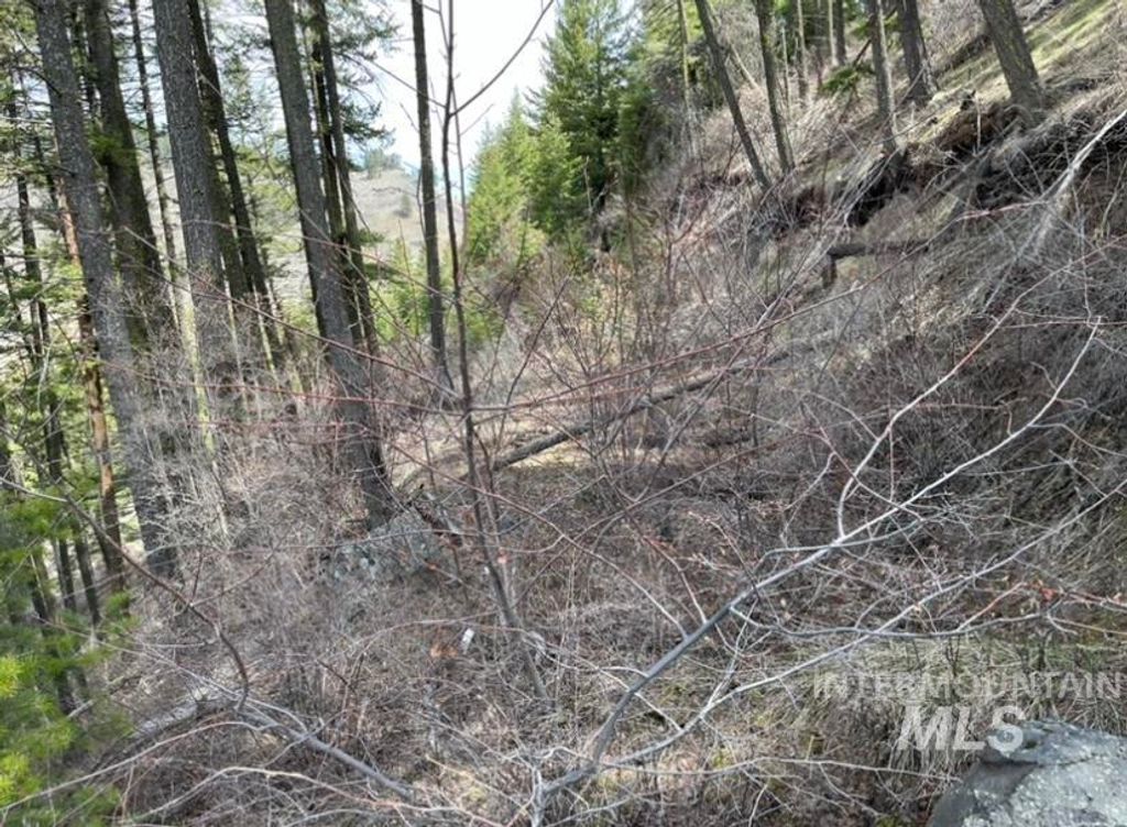 TBD State Highway 129, Anatone, WA 99401 photo 6