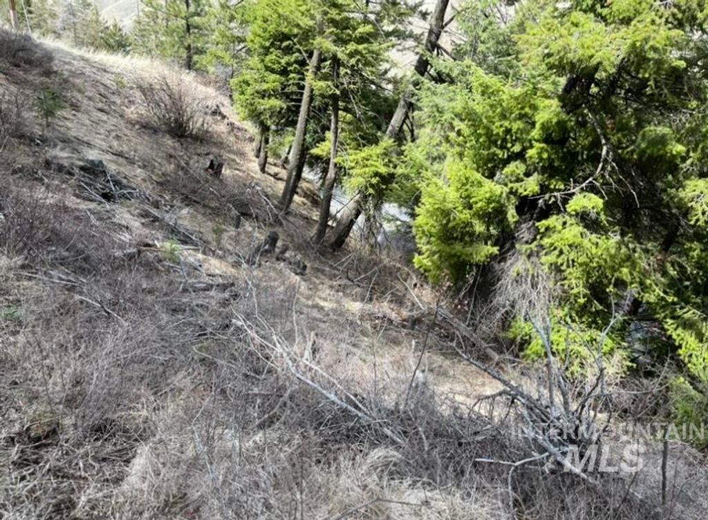 TBD State Highway 129, Anatone, WA 99401 photo 8