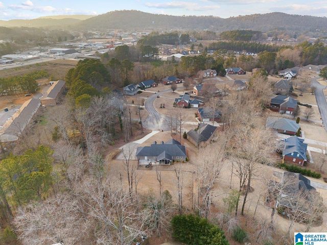 121 AZALEA HILLS DRIVE, Oneonta, AL 35121