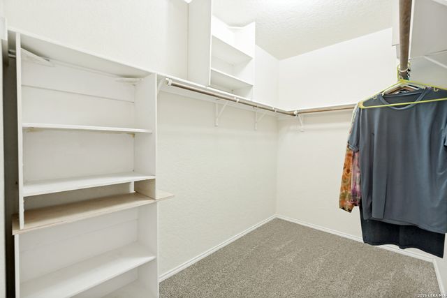 3116 Pencil Cholla, Schertz, TX 78154