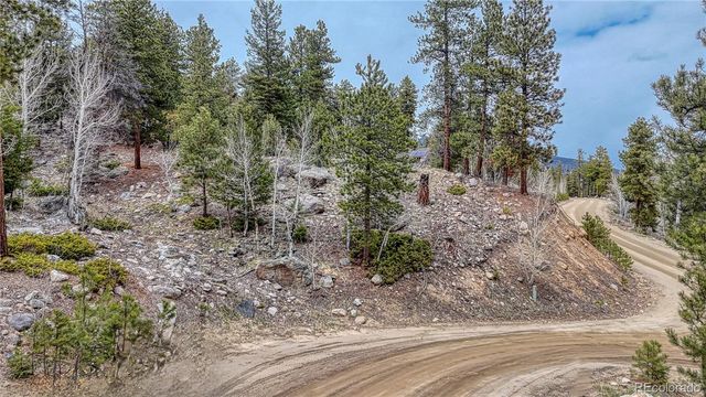 30176 Mountaintop Drive, Buena Vista, CO 81211