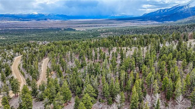 30176 Mountaintop Drive, Buena Vista, CO 81211