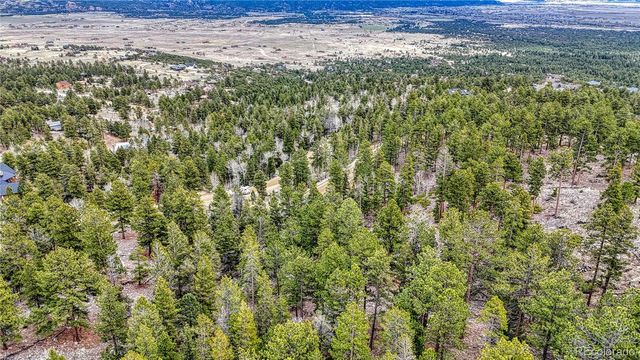 30176 Mountaintop Drive, Buena Vista, CO 81211