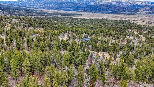30176 Mountaintop Drive, Buena Vista, CO 81211