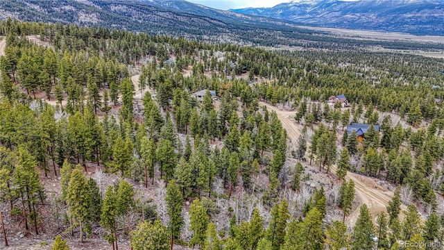 30176 Mountaintop Drive, Buena Vista, CO 81211