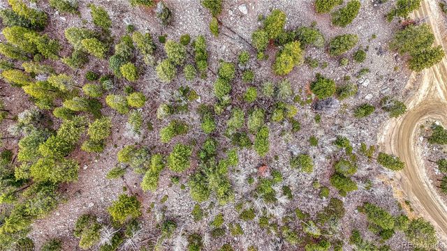 30176 Mountaintop Drive, Buena Vista, CO 81211