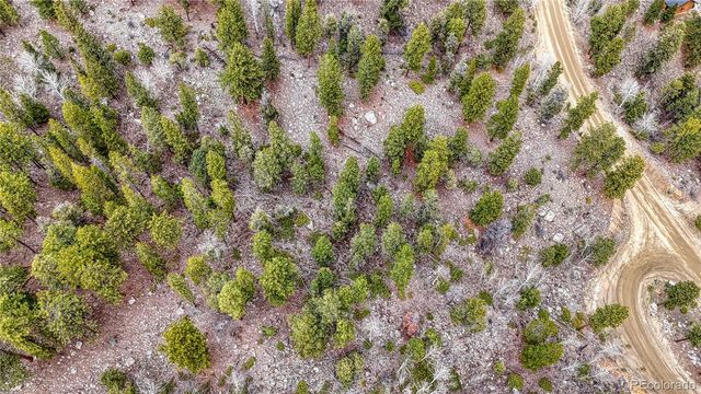 30176 Mountaintop Drive, Buena Vista, CO 81211
