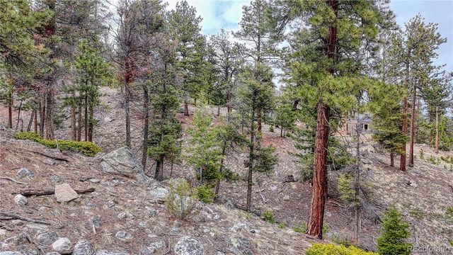 30176 Mountaintop Drive, Buena Vista, CO 81211