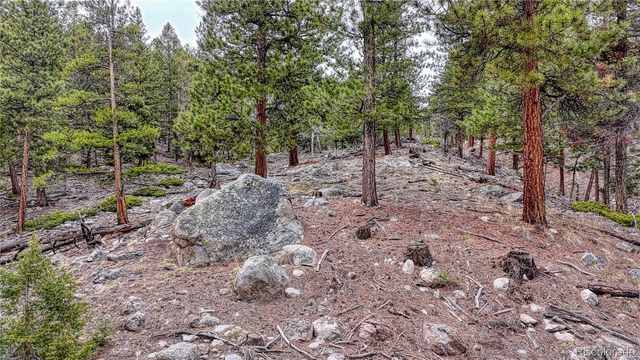 30176 Mountaintop Drive, Buena Vista, CO 81211
