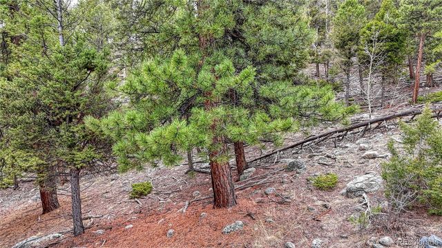 30176 Mountaintop Drive, Buena Vista, CO 81211