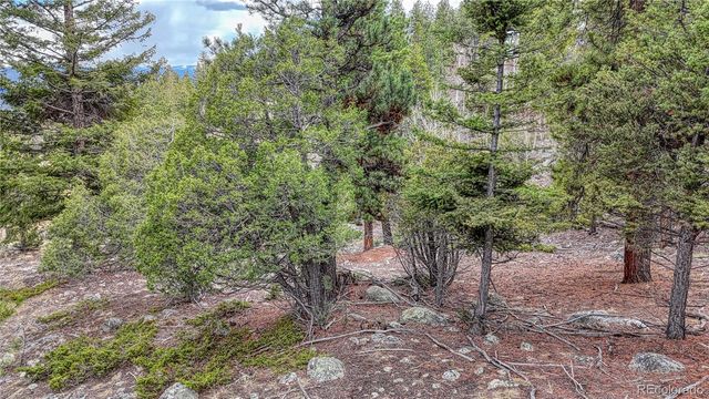 30176 Mountaintop Drive, Buena Vista, CO 81211