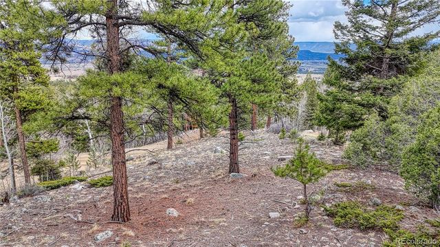 30176 Mountaintop Drive, Buena Vista, CO 81211