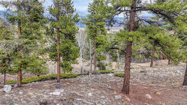 30176 Mountaintop Drive, Buena Vista, CO 81211