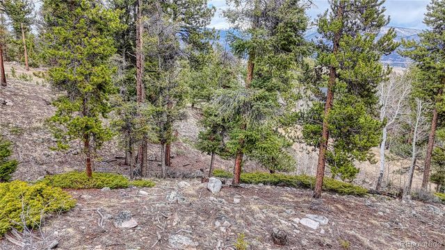 30176 Mountaintop Drive, Buena Vista, CO 81211
