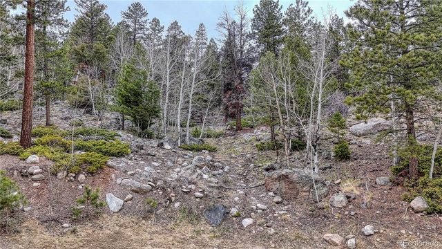 30176 Mountaintop Drive, Buena Vista, CO 81211