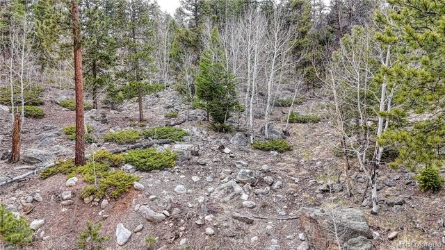 30176 Mountaintop Drive, Buena Vista, CO 81211