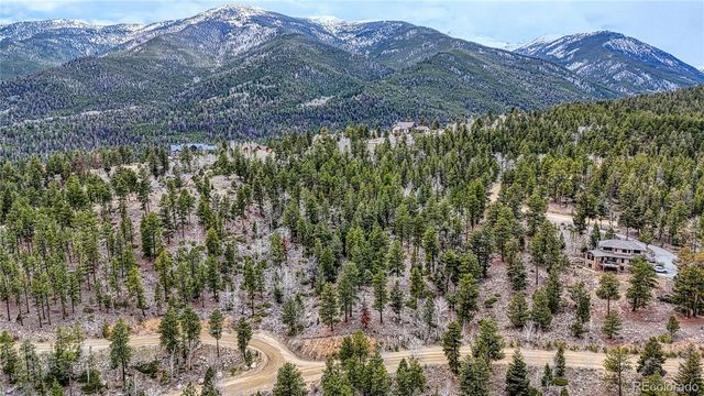 30176 Mountaintop Drive, Buena Vista, CO 81211