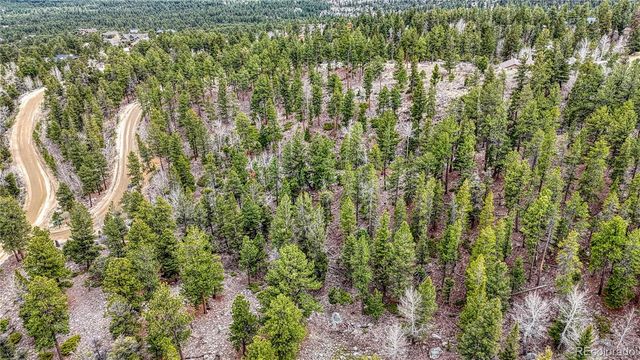 30176 Mountaintop Drive, Buena Vista, CO 81211