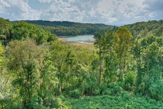 8.04 AC Collins Road, Morganton, GA 30560