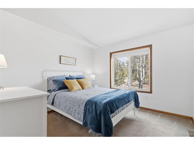 1146 Tapadero Rd, Bailey, CO 80421