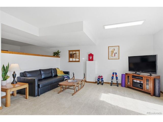 1146 Tapadero Rd, Bailey, CO 80421