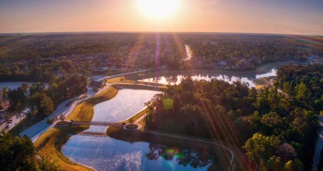 106 West Coralburst Loop, Montgomery, TX 77316