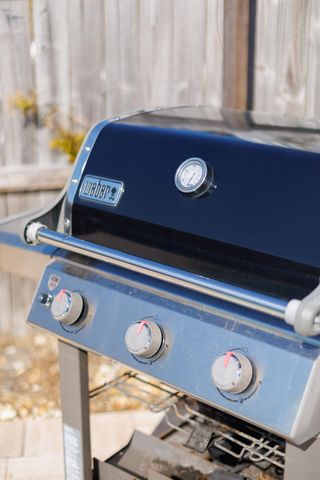 233 Palm Beach Drive, Panama City Beach, FL 32413