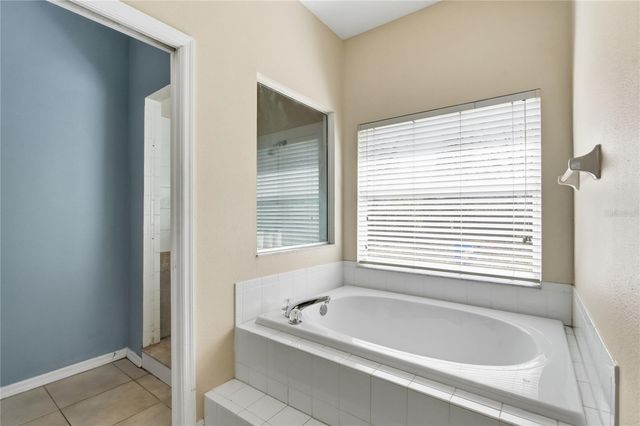 20000 HARVIE LANE, Lutz, FL 33558