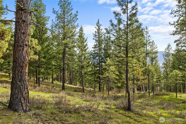 0 XXX Creekside Drive, Cle Elum, WA 98922