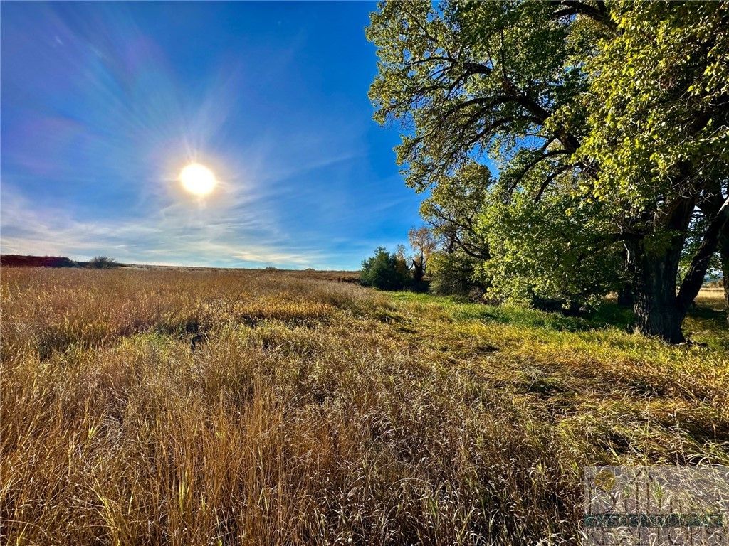 TBD Centennial Rd, Columbus, MT 59019 photo 12