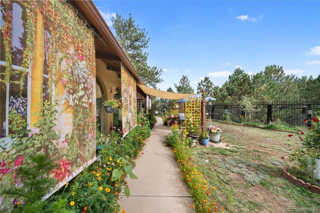 2400 County Road 43, Bailey, CO 80421