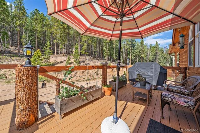 9001 S Warhawk Road, Conifer, CO 80433