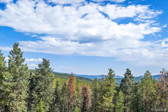 9001 S Warhawk Road, Conifer, CO 80433