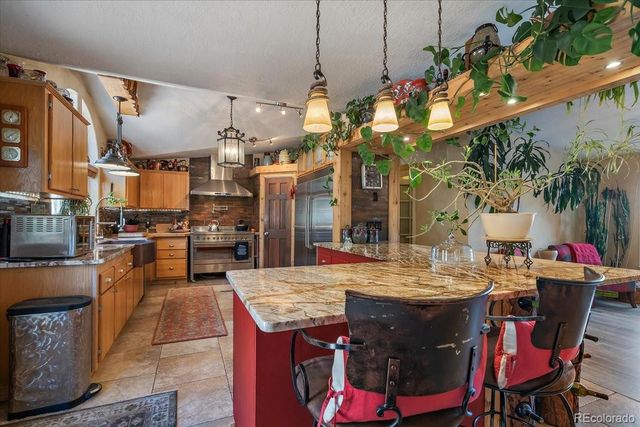 9001 S Warhawk Road, Conifer, CO 80433