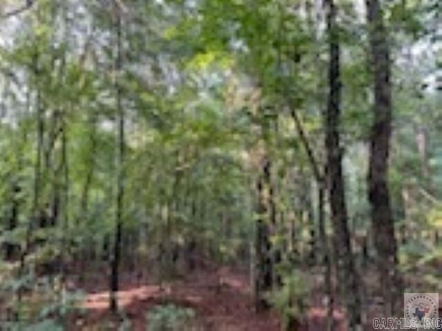 244 Miller County 485, Texarkana, AR 71854