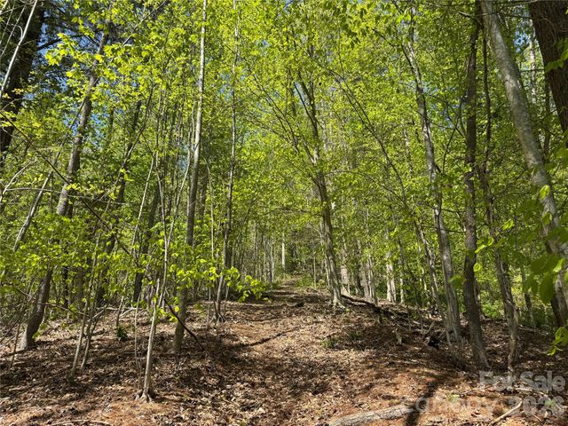 942 Fisher Branch Road, Marshall, NC 28753