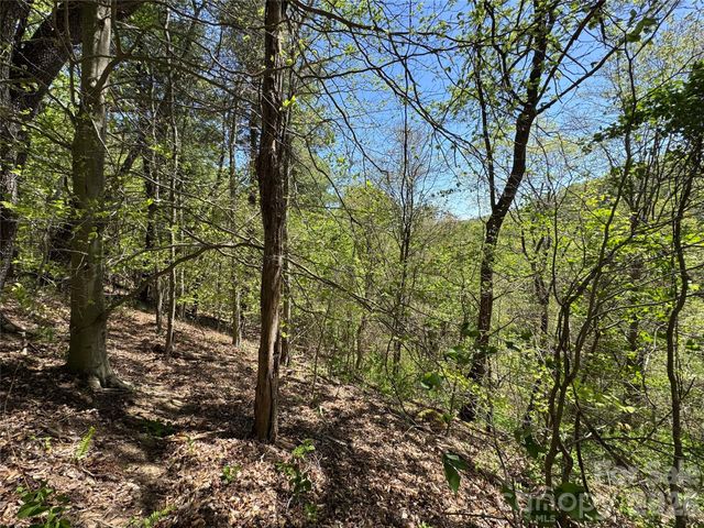 942 Fisher Branch Road, Marshall, NC 28753