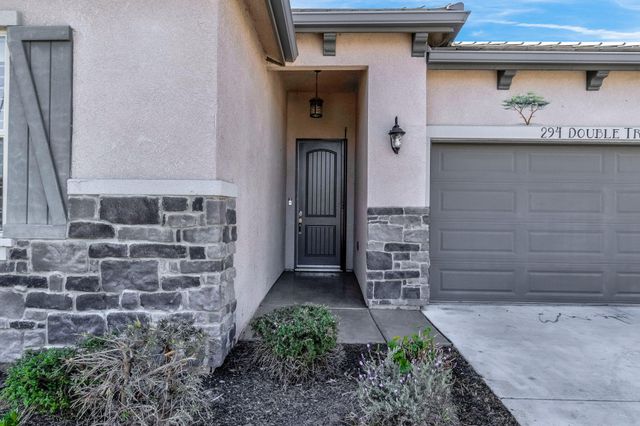 294 Double Tree Court, Madera, CA 93637