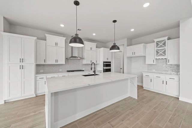 15009 Peach Rise DR, Manor, TX 78653