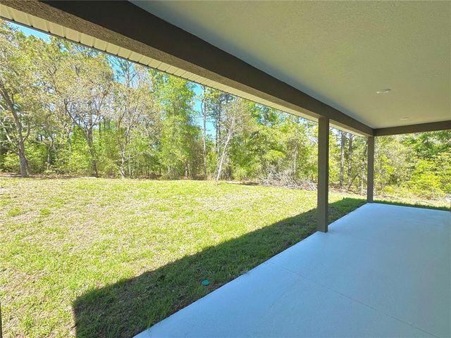 8008 N TRIANA DRIVE, Citrus Springs, FL 34434
