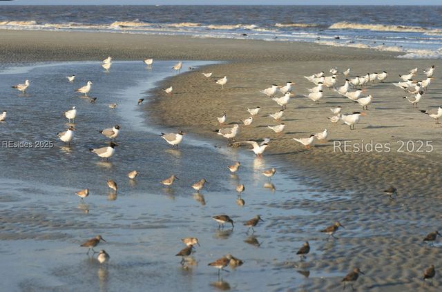 1 Ocean Ln Apt 3332, Hilton Head Island, SC 29928