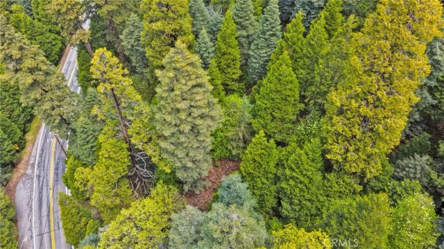 1 Skyforest, Lake Arrowhead, CA 92385
