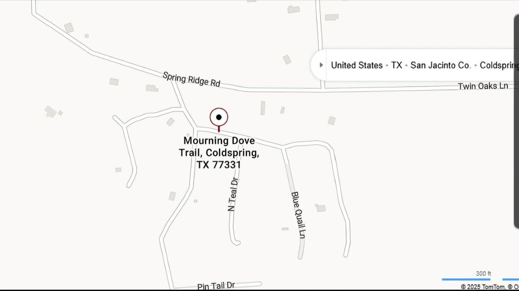 0 Mourning Dove Trail, Coldspring, TX 77331