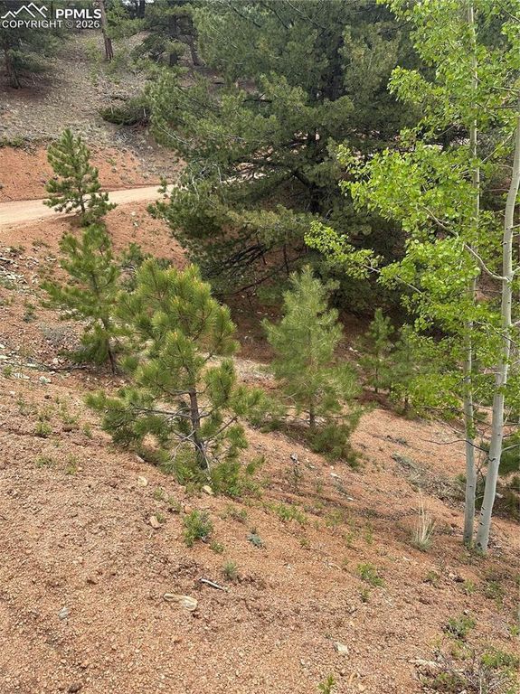 1600 Pikes Peak Drive, Divide, CO 80814 — exterior