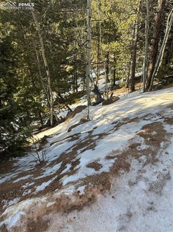 1600 Pikes Peak Drive, Divide, CO 80814 — photo 4