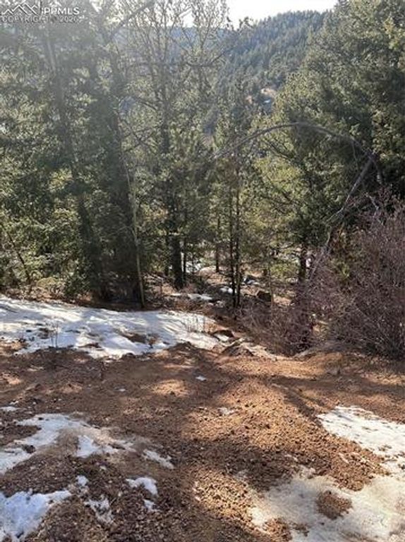 1600 Pikes Peak Drive, Divide, CO 80814 — photo 5