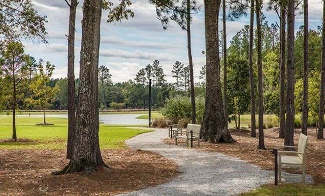 1062 Lettered Olive Lane, Summerville, SC 29485