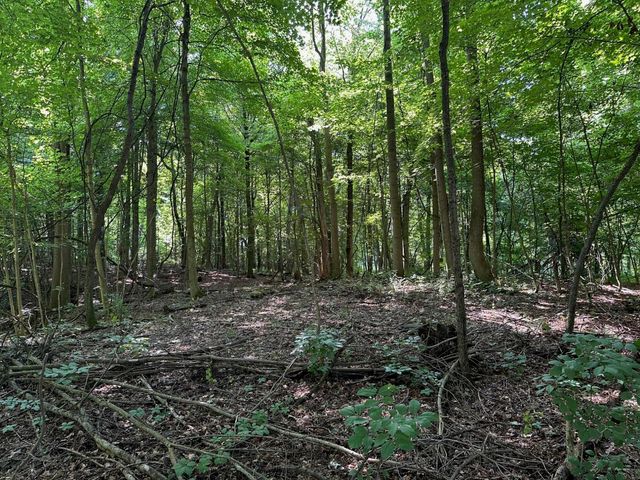 0 M-60, Cassopolis, MI 49031